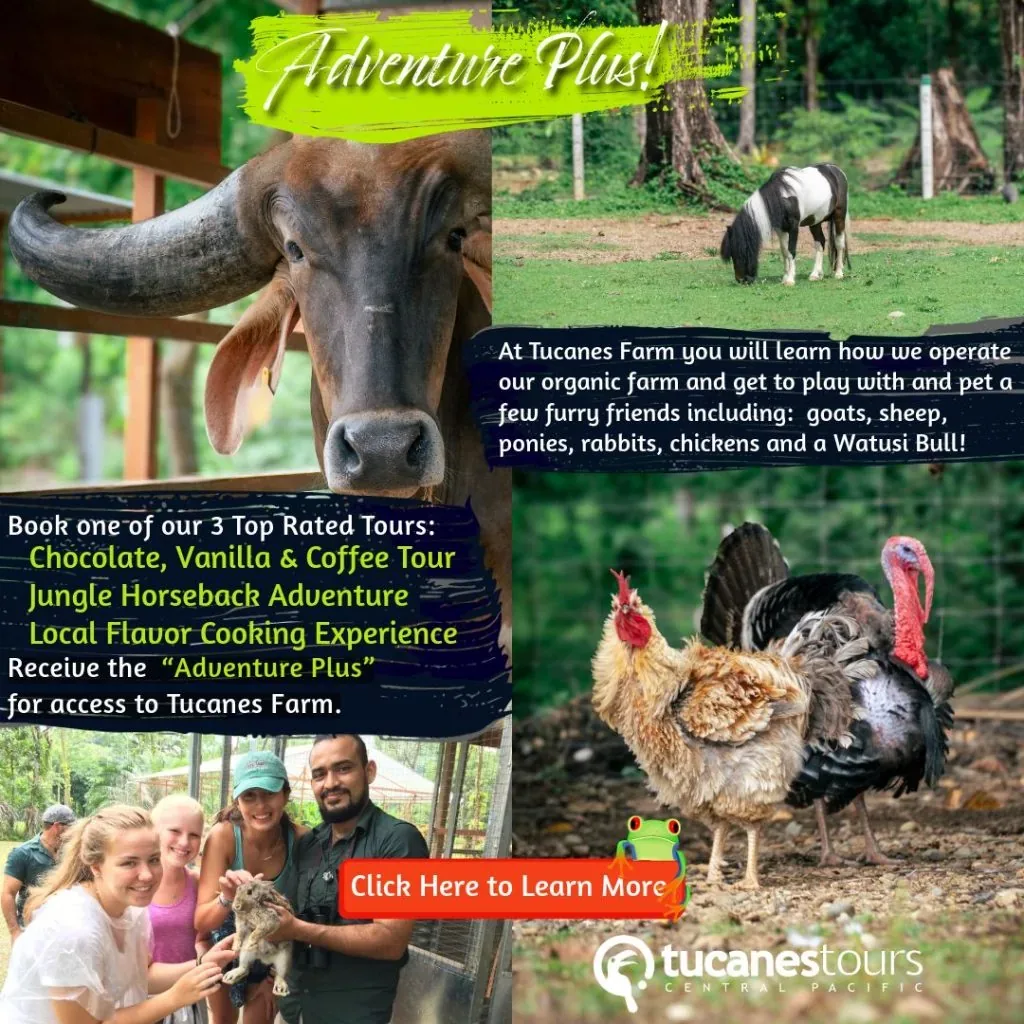 Adventure Plus