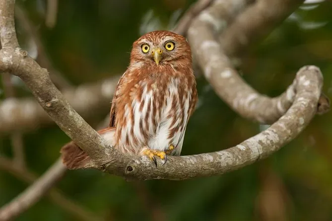 Carara National Park