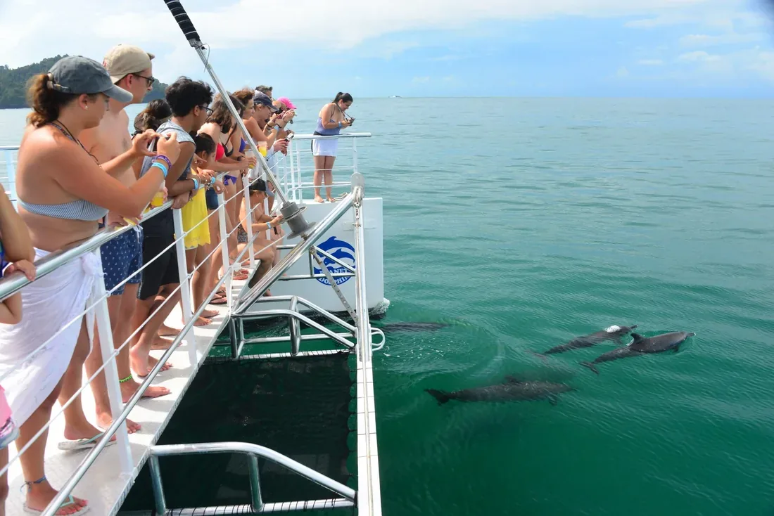 Guests aboard a Tucanes Tours catamaran spotting dolphins off Manuel Antonio