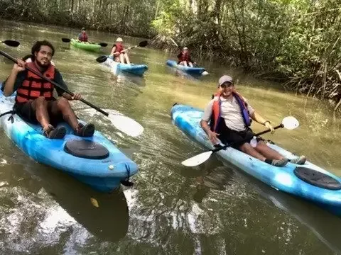 Quiet water and mangrove roots on the Isla Damas kayak tour