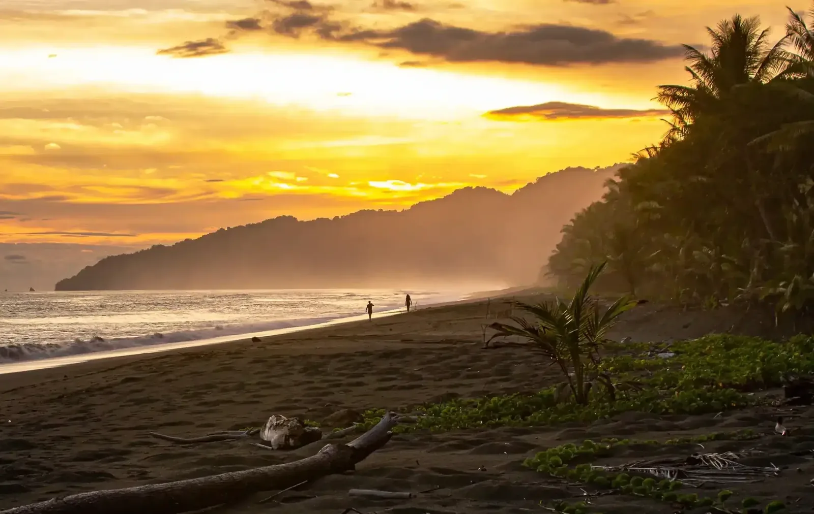 Golden hour on a Manuel Antonio beach on the Central Pacific coast of Costa Rica