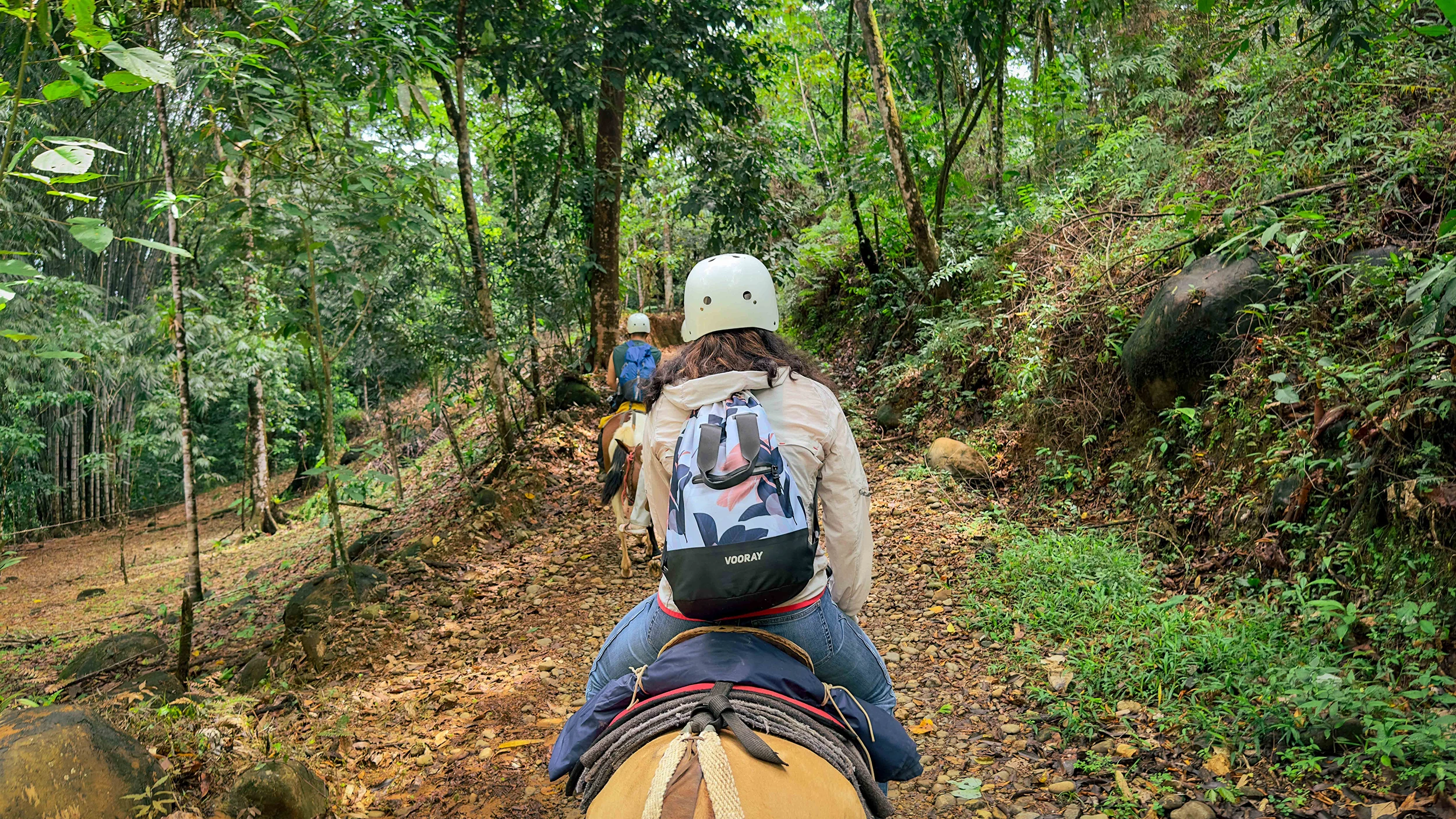 Guided horseback ride through jungle trails near Manuel Antonio, Costa Rica