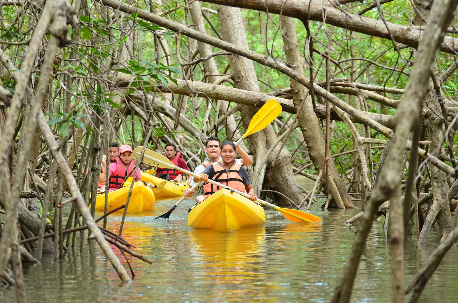 Isla Damas Mangrove Kayak Tour