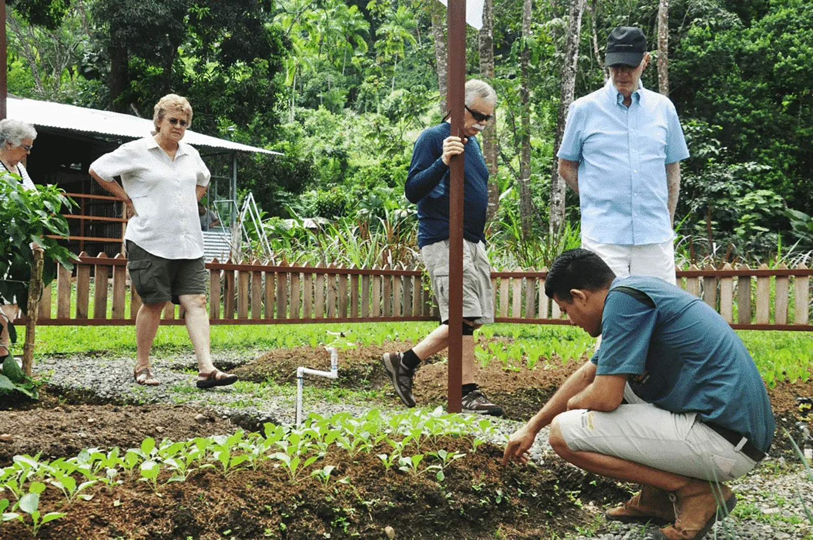 Fresh produce growing on the Tucanes organic farm