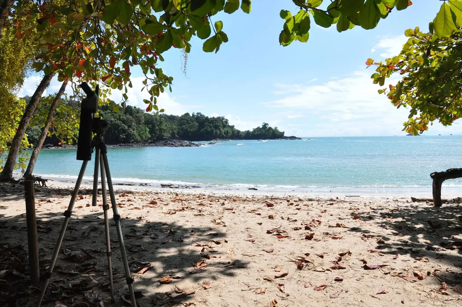 Rainforest trail and coastline inside Manuel Antonio National Park