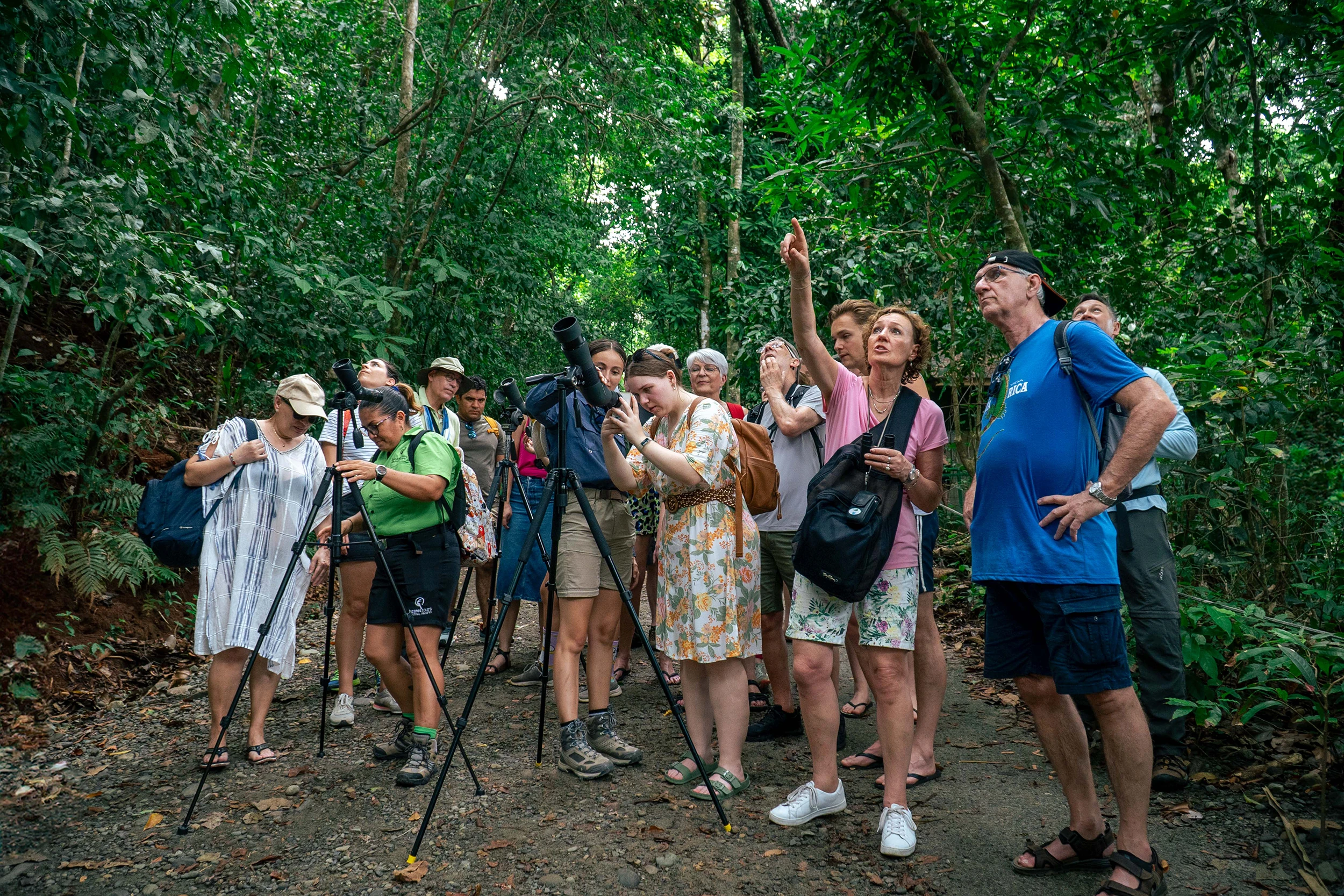 Chocolate, coffee and spice farm tour at Finca Tucanes