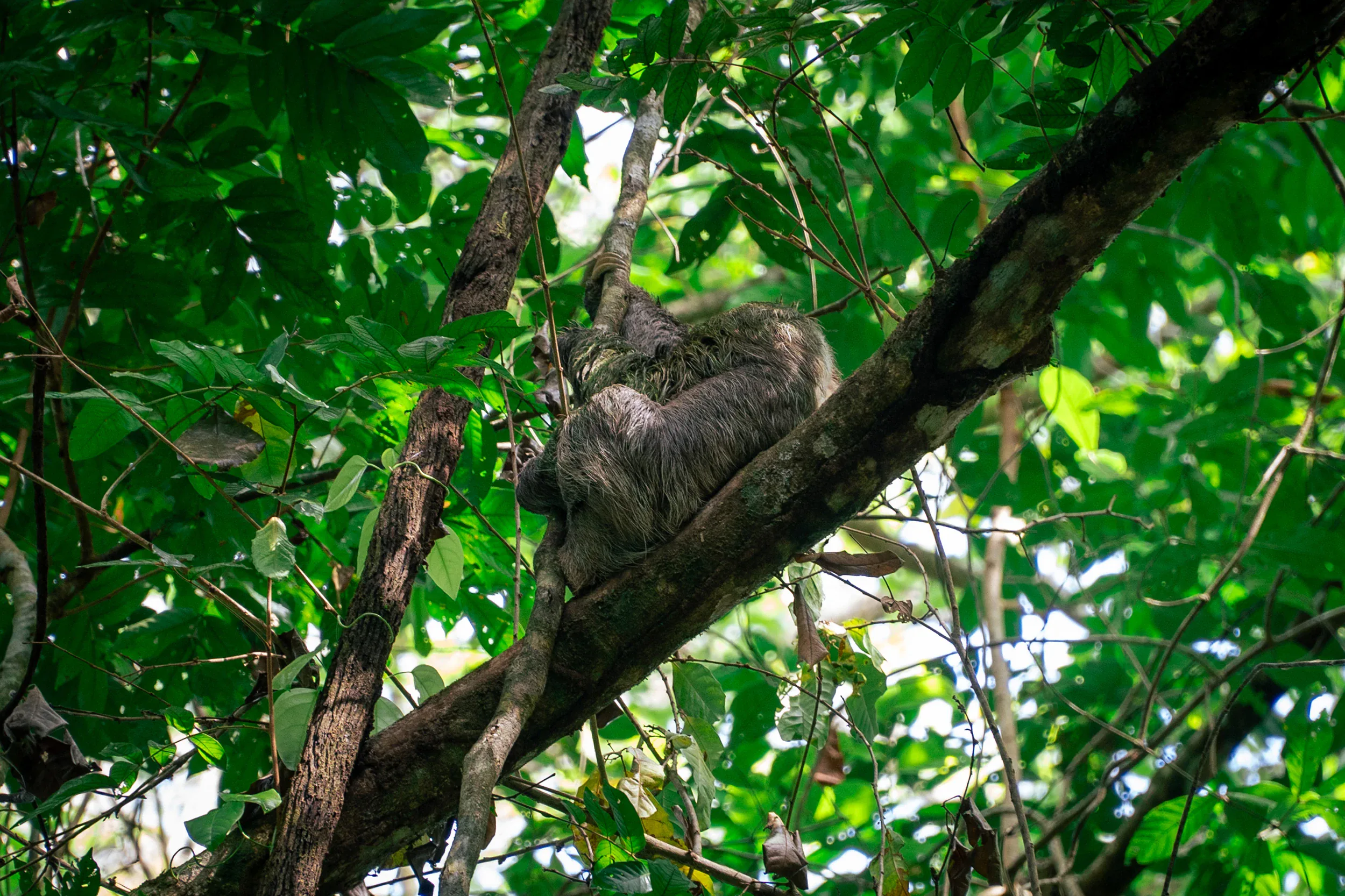 Manuel Antonio National Park
