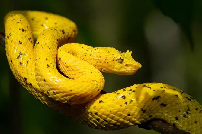 Carara National Park